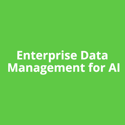 Enterprise Data Management for AI